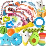 Zeaxuie 25 Pack Luxury Dog Chew Toys for Puppy